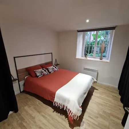Apartamento Au Coeur De Vienne (Isere)